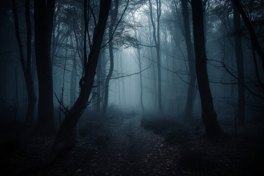 Dark and foggy path into the forest generative AI