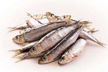 Traditional Portuguese raw anchovies offered as close-up on white background