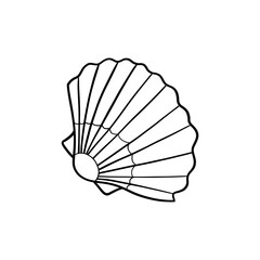 shell on white background