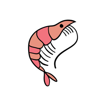 Shrimp icon in flat style, fresh sea food. Isolated on white background. Vector illustration.