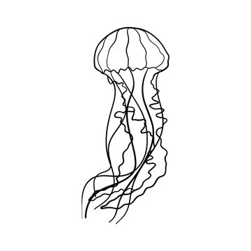 Hand drawing jellyfish. Summer vector illustration.