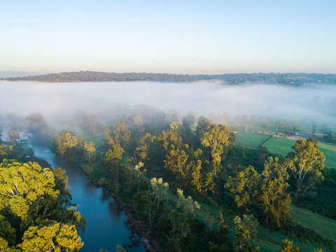 Fog covering riverside park and farms at dawn in Singleton