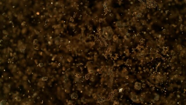 Super slow motion of exploding and rotating earth in the air. Filmed on high speed cinema camera , 1000fps. Speed ramp effect.