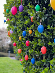 Fototapeta na wymiar Multicolored decorative plastic easter eggs hanging on a green shrub tree in the garden