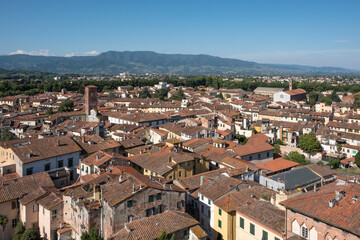 Fototapeta na wymiar Blick vom Turm Torre Guinigi, Lucca, Toskana, Italien