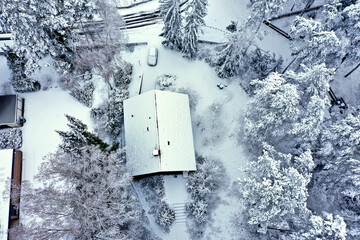 Top down photo of the snow covered roof and trees in a garden in Germany