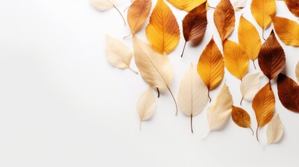Autumn leaves on white, still life with autumn leaves, minimalistic abstract background. Autumn picture. Generative AI.