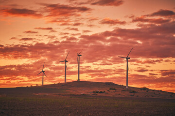 wind mills before sunrise in spring
