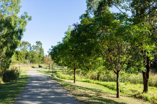 Walking path through reserve in Singleton with native king parrot birds in trees