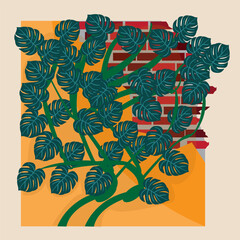 monstera leaves growing vines on a broken wall