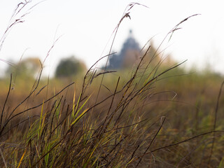 Obraz premium Autumn field with dry grass, blurred perspective, October landscape