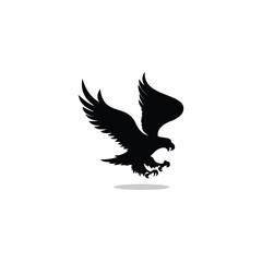 Fototapeta premium eagle in the black form