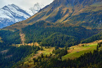 Mountain view with forest on the hills in Lauterbrunnen valley in Switzerland.