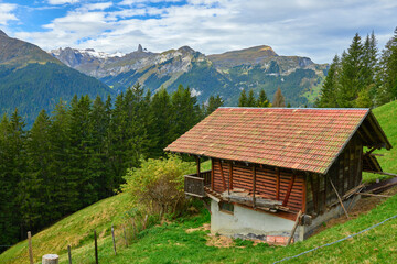 Mountain landscape with an wooden barn on the hill near Wengen village in Switzerland.