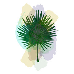Tropical leaf with translucent texture, watercolor strokes. Vector