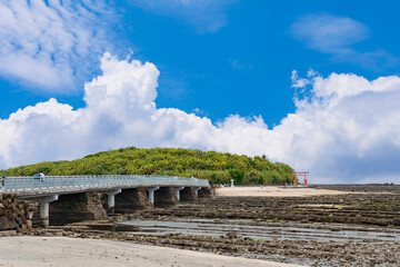 【宮崎県】青島 日南海岸の奇岩　鬼の洗濯岩