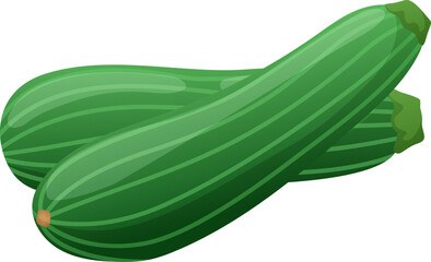 Green zucchini squash vegetable sketch