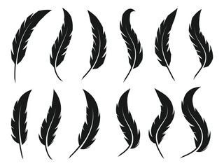 Feather icon isolated on White Background.