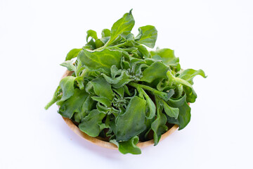Fototapeta premium Crystal ice plant on white background.