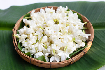 Thai jasmine flower in bamboo weave plate on banana leaf