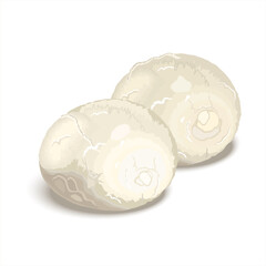 Round pieces of Italian mozzarella cheese.  Mozzarella soft cheese farm market product. Vector illustration for label, poster, icon, packaging isolated on white background.