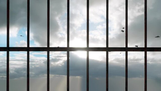 Looking through the steel bars of a prison cell at the sight of birds soaring freely in the sky as the sun begins to set.