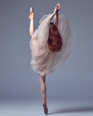 One young dancer, beautiful ballerina with red hair wearing tulle dress dancing over grey studio background. Back view. Demonstrating flexibility © Lustre Art Group 