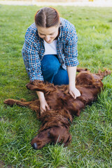 Beautiful young redhead woman playing with happy irish Setter dog in a park outdoors. Girl sitting...