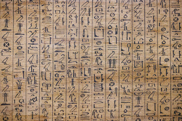 Fototapeta na wymiar Ancient Egyptian hieroglyphs on papyrus - Cairo