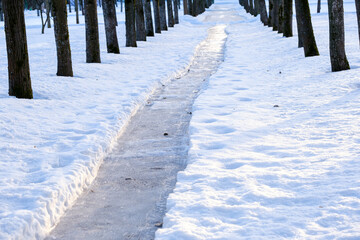 icy path among trees and snow on a frosty winter day