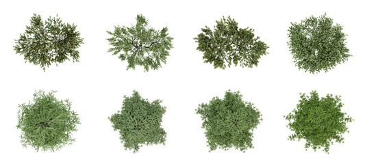 Set of tree on top view isolated on transparent background, 2d plants, 3d render illustration.