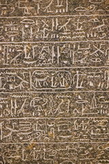 Ancient Egyptian hieroglyphs engraved in stone - Cairo