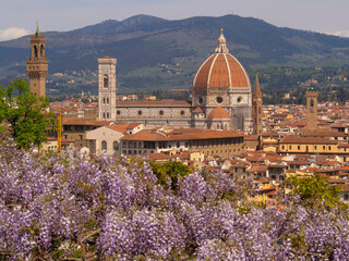 Fototapeta na wymiar Italia, Toscana, Firenze, giardino Bardini col glicine in fiore e veduta della città.