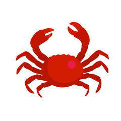 red crab isolated on white background