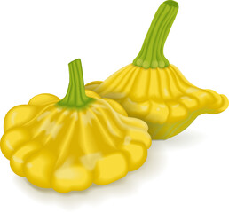 Group of Yellow Patty Pan squash or Scallop or Scallopini squash. Summer squash. Cucurbita pepo. Fruits and vegetables. Vector illustration isolated on white background.