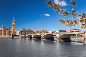 Foto op Plexiglas Famous Big Ben with red buses on bridge over Thames river during springtime in London, England, UK © Tomas Marek