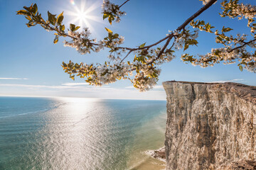 Beachy Head with chalk cliffs against spring limb near the Eastbourne, East Sussex, England