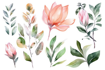 Fototapeta na wymiar Peonies on white isolated background. Watercolour floral illustration set, AI
