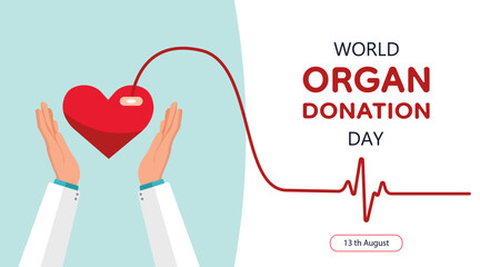 accident, advertising, aid, alternative, arm, banner, Donate organ banner on green and white backgrounds. Hands give heart. Vector illustration.  Isolated. Concept save life. World organ donation day.