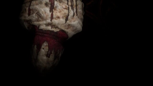 Corpse VJ Loop - this footage come here from medieval Europe to cure you! This motion graphics is perfect to use in your next halloween and gothic parties or horror VJ sets.
