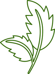 leaf line illustration
