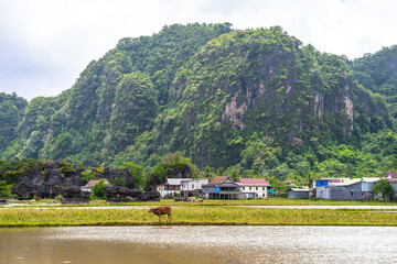beautiful town of ramang ramang in sulawesi, indonesia
