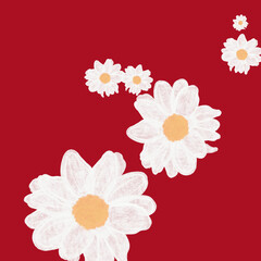 Daisy flowers with red background