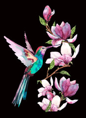 Branch of blooming spring magnolia and a fluttering caliber bird. Beautiful floral vertical composition with exotic flowers. Hand drawn watercolor illustration on black background for cards, print.