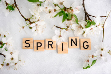 lettering spring. spring word written on a wooden block with blossoming tree branches. Spring mood.