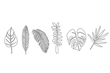 Obraz premium tropical tropical different types of leaves set collection objects line art