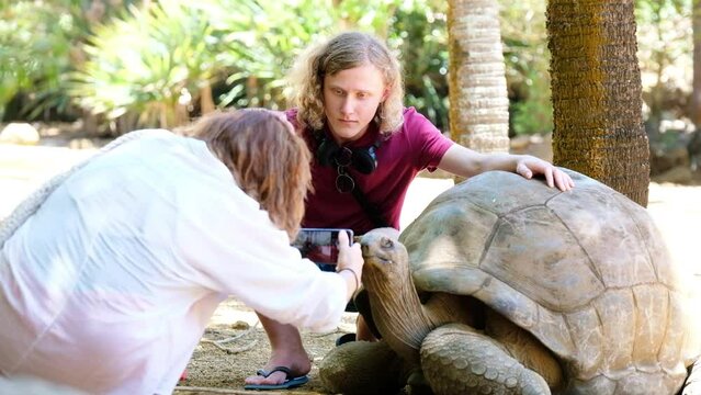 Mother tourist making a photo of son using cell phone with Aldabra giant tortoise endemic species - one of the largest tortoises in the world in zoo nature park on Mauritius island. 4K travel video.