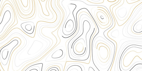 Abstract topographic contours map background .Topographic background and texture, monochrome image. Marble texture with natural