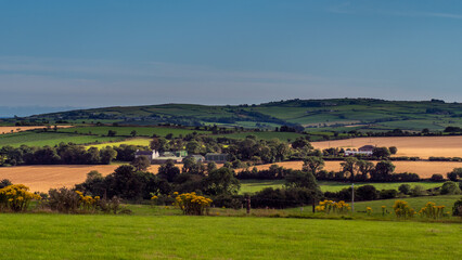 Fototapeta na wymiar Green farm fields and hills in the evening in Ireland. Irish rural landscape, agricultural land. Green grass field near trees