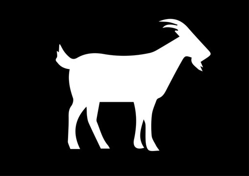 vector goat, ram animal logo illustration design